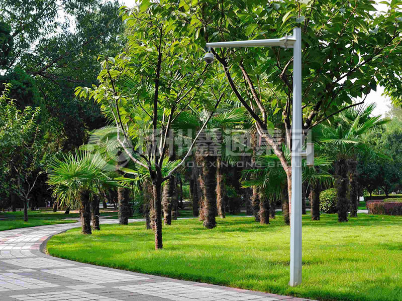 DJG-022，電子警察桿，八棱懸臂球機桿